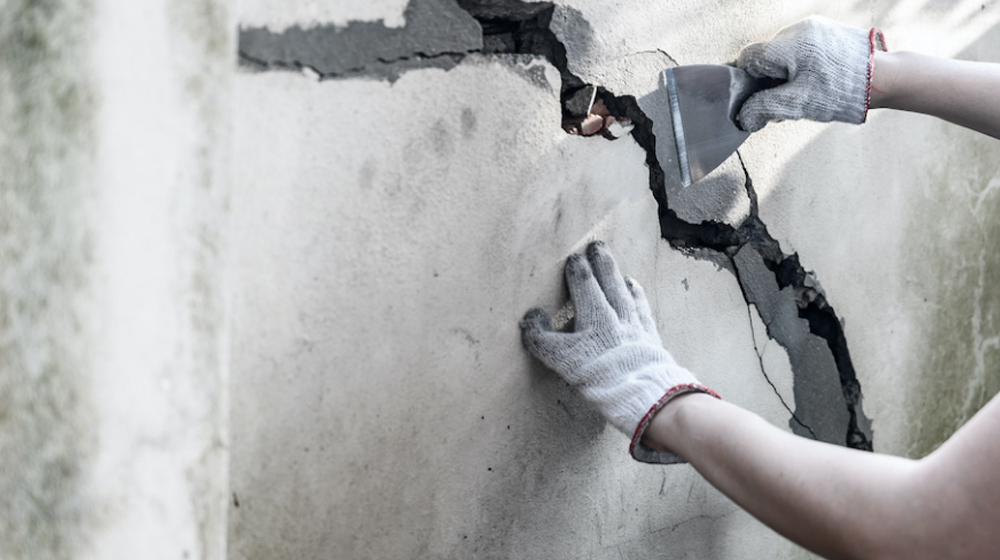 Painting Services
